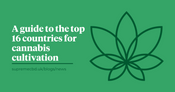 A green background with the Supreme CBD logo to the right with white text to left saying 