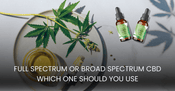Full Spectrum or Broad Spectrum CBD Which One Should You Choose