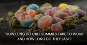 How Long Do CBD Gummies Take to Work and How Long Do They Last?