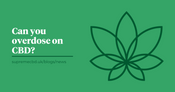 A green background with the Supreme CBD logo to the right and white text to the left to show 