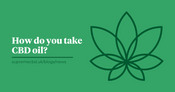 White text on a green background reading 